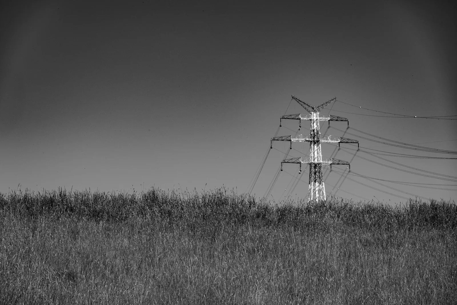 Elbe, Schwarzweiß-Fotografie von Mietzner